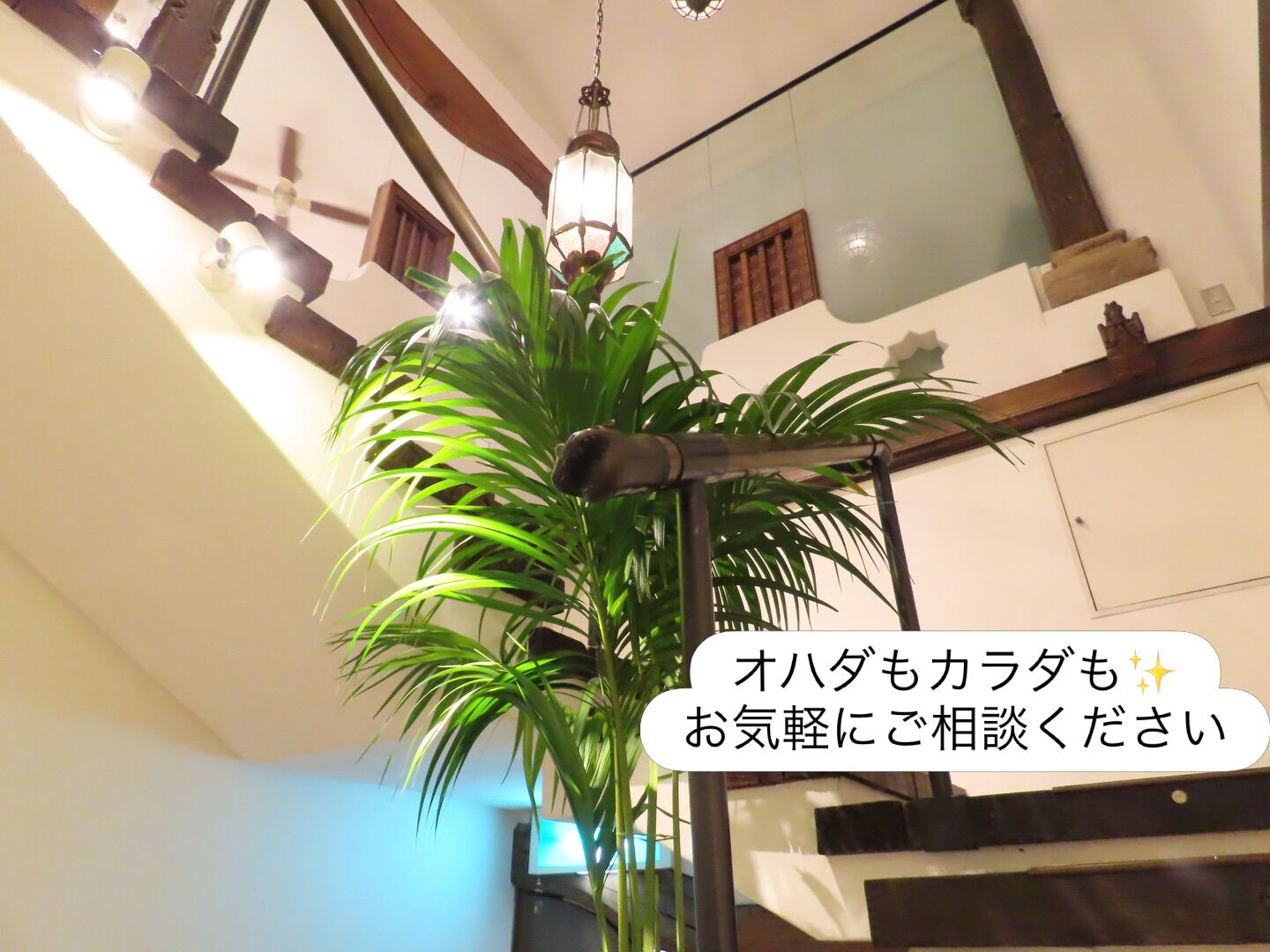 静岡・足久保の恵み